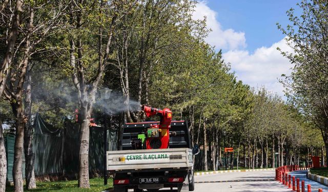 Çankaya’da yaz dönemi ilaçlama çalışmaları sürüyor