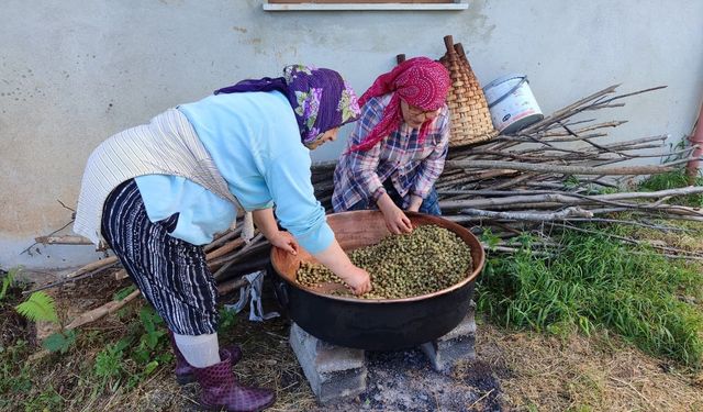 Giresun’da dut pekmezi mesaisi başladı