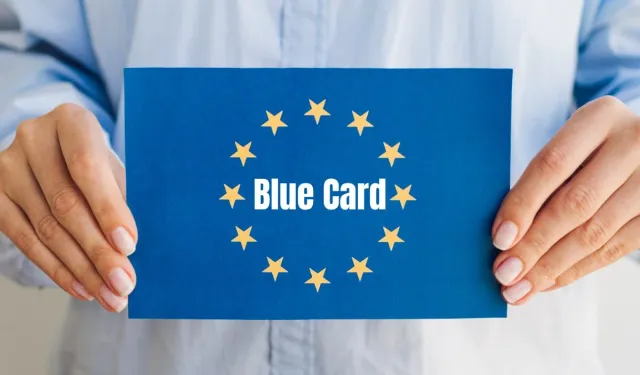EU Blue Card başvurusu için şartlar neler?