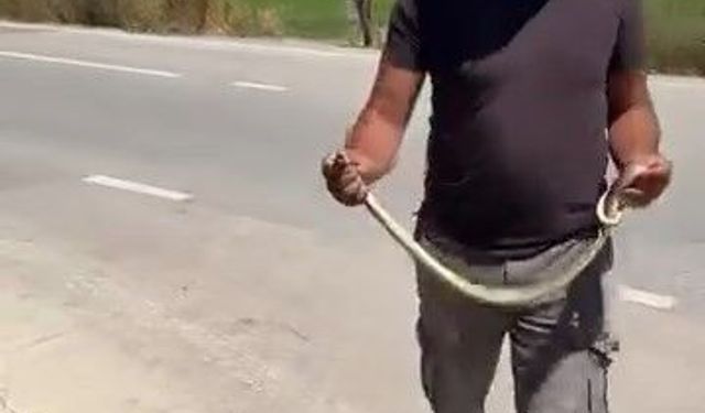 Bursa'da çiftçinin cesareti endişelendirdi