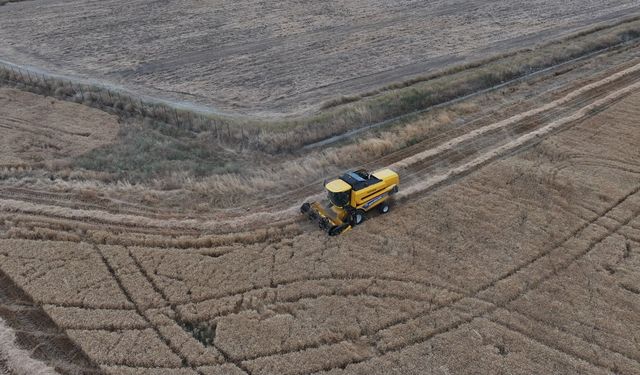 Sincan'da tahıl sezonu başladı