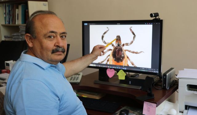 Prof. Dr. Çetin: Dişi keneler 10 bin yumurta bırakabiliyor