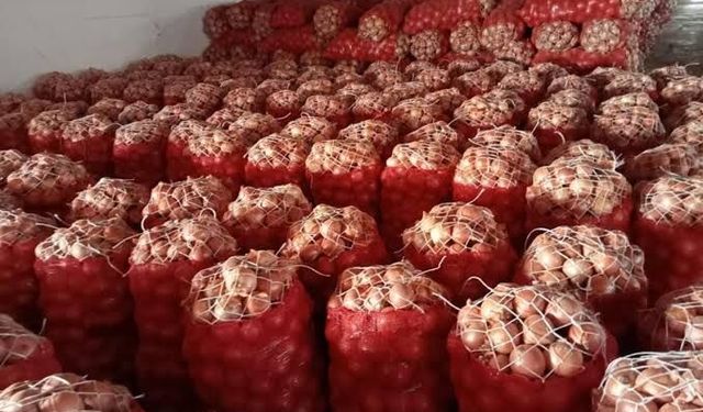 Kuru soğanda gümrük vergisi yeniden düzenlendi