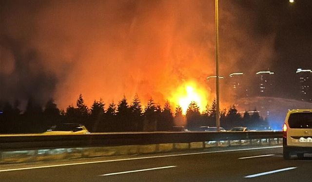 Ankara Yenimahalle'de otluk alanda yangın