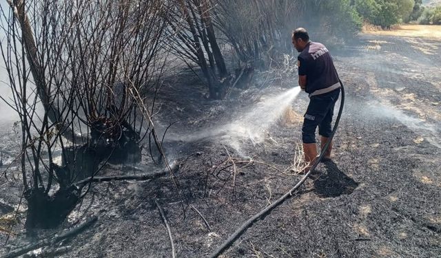 Çayırda yangın çıktı, ekipler seferber oldu