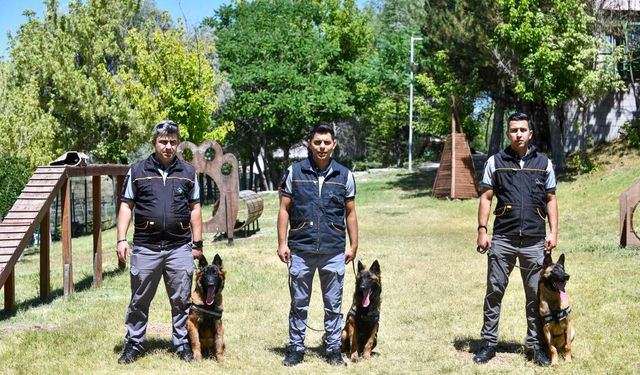 ABB'nin K9 ekipleri Başkent'te 7 gün 24 saat görevde