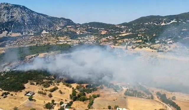 Antalya Kaş’ta orman yangını