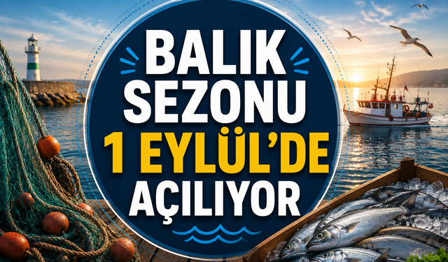Balık sezonu 1 Eylül'de açılıyor: Hangi balıklar var?