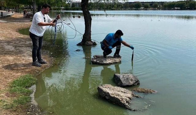 Çorlu’daki gölette alg oluşumuna kontrollü müdahale