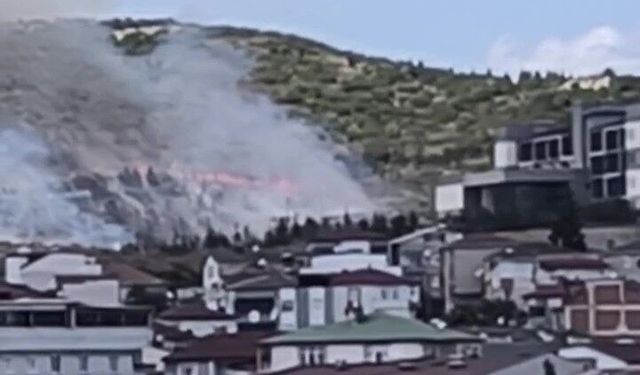 Gebze’de ormanlık alanda yangın: Ekipler müdahale ediyor