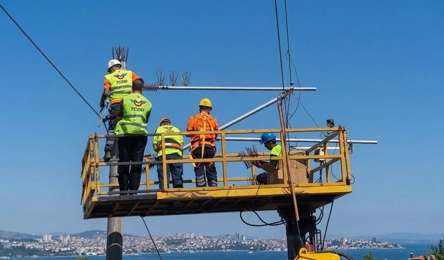İstanbul’da leylekler için “leylekkonmaz” aparatı geliştirildi