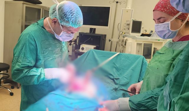 Opr. Dr. Sürücü: Miyomlar düşük ve erken doğuma neden olabilir