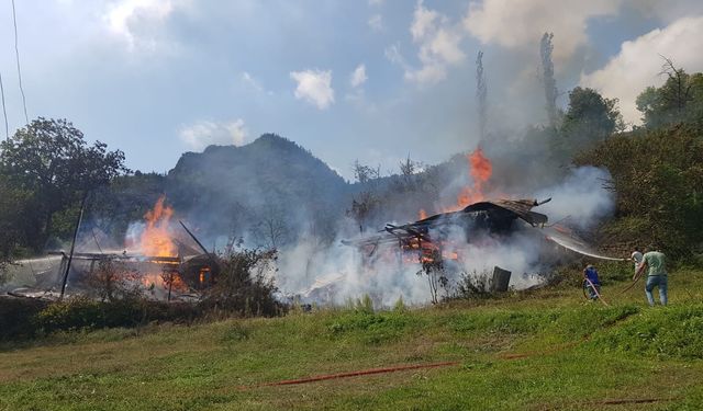 Artvin’de 2 ev alevlere teslim oldu: 4 hane zarar gördü