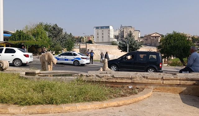 Şanlıurfa’da bıçaklı şüpheli polis ekiplerine saldırdı