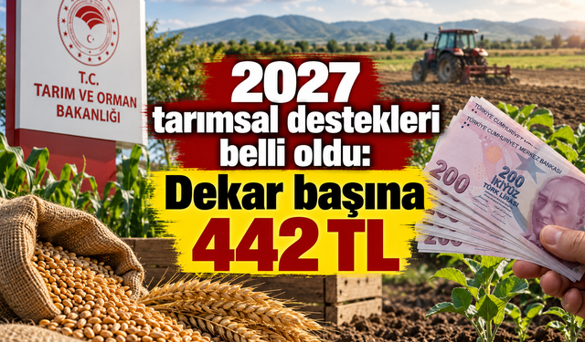 2027 tarımsal destekleri belli oldu: Dekar başına 442 TL
