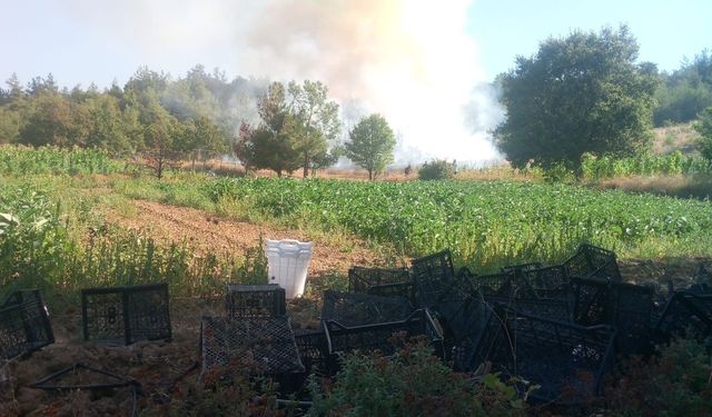 Bursa Kestel’de ormanlık alan alevlere teslim oldu