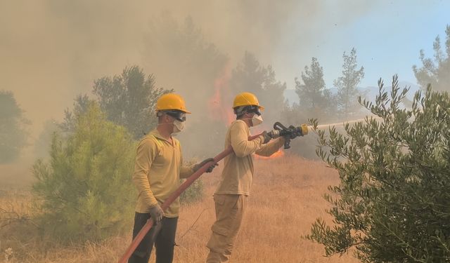 Antalya’da orman yangınına günün ilk ışıklarıyla hava desteği