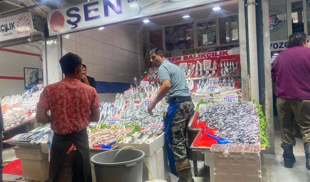 Ankara'da balık sezonu açıldı: Tezgahlar hareketlendi