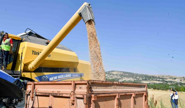 Ankara’da nohut tohumu desteğinin hasadı başladı