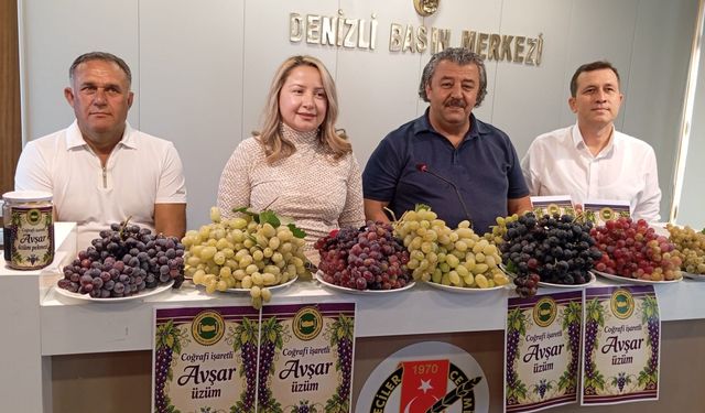 Avşar üzümü tescille taçlandı, festival heyecanı başladı