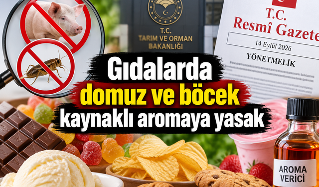 Gıdalarda domuz ve böcek kaynaklı aromaya yasak