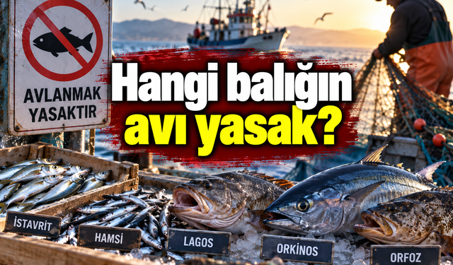 Hangi balığın avı yasak? Yeni kurallar açıklandı