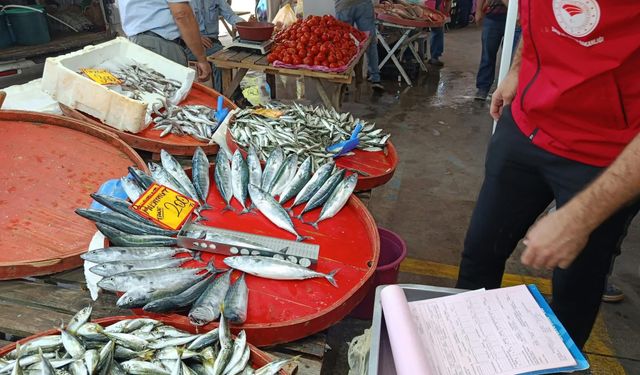 Hayrabolu’da balık tezgahlarında sezon denetimi
