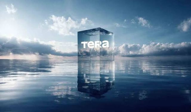 TERA neden gündemde? Tera Portföy'de ne oldu?