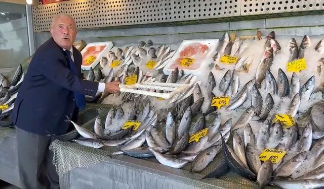Hamsi 200, palamut 100 liradan tezgaha çıktı