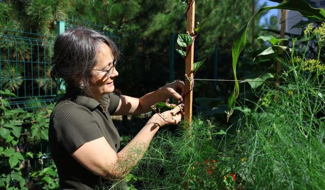 Çankaya Kent Bostanlarında eğitim dönemi başlıyor