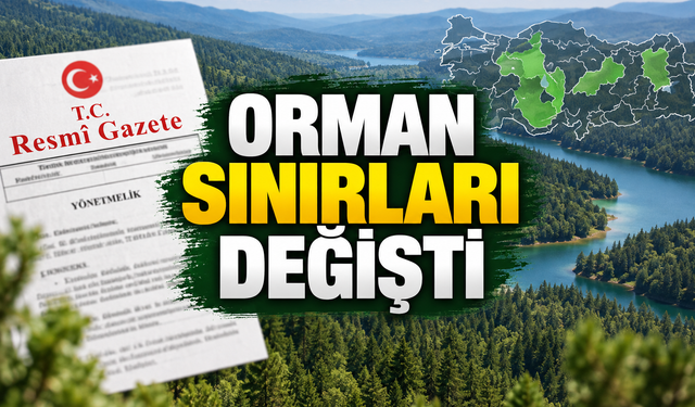 27 ilde hangi alanlar orman sınırından çıkarıldı?
