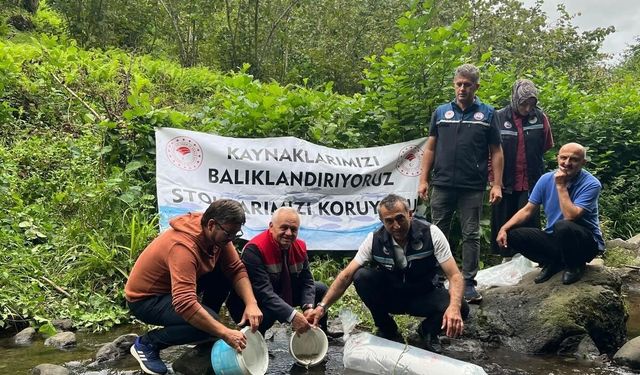 Trabzon’daki Sera Gölü’ne yavru sazan takviyesi