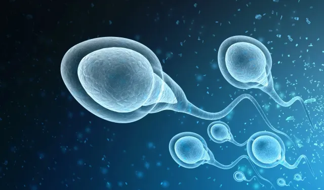 Erkeklerde üreme sağlığı alarmı: Sperm kalitesini etkileyen alışkanlıklar