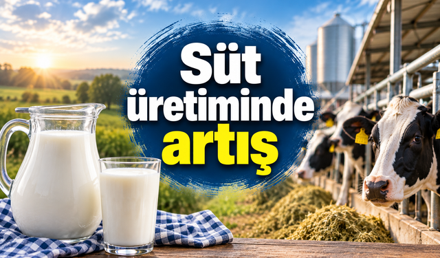Süt üretiminde yıllık artış yüzde 4,4 oldu