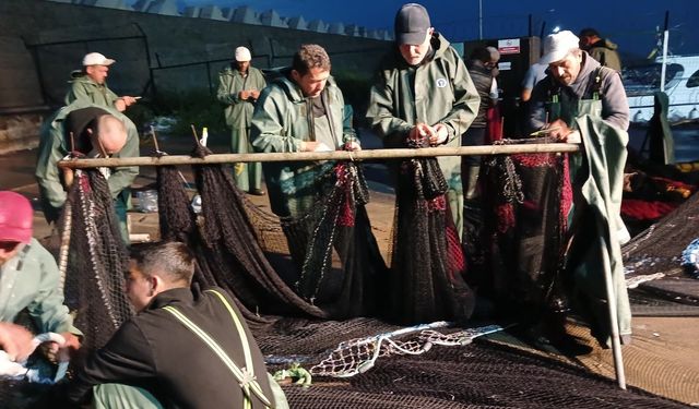 Karadeniz'de palamut bereketi: Ağlar zarar gördü