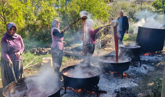 Mersin'de nar ekşisi mesaisi başladı