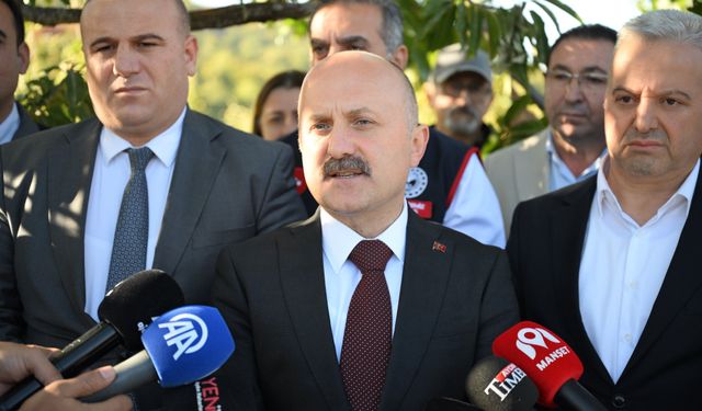 Türkiye'de kestane üretiminin yarısı Aydın'dan