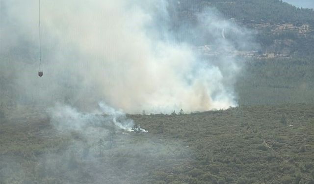 Bodrum Mazı’da orman yangını: Havadan ve karadan müdahale