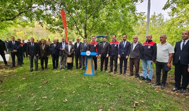 Adilcevaz cevizinde hasat sezonu başladı