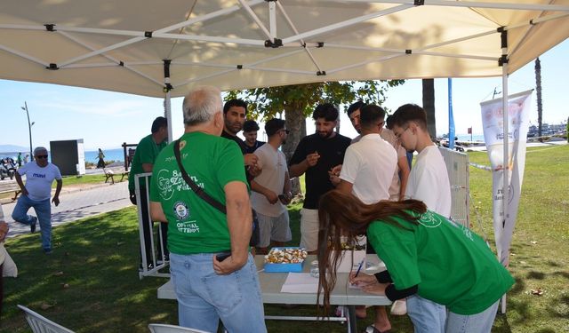 Didim Zeytin Festivali başladı: Hedef Guinness rekoru