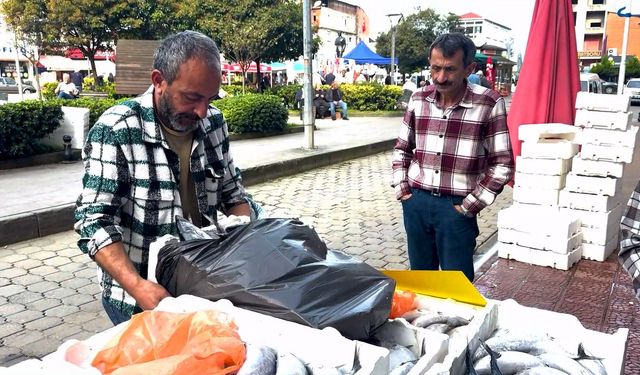 Doğu Karadeniz'de palamut bolluğu: 3 tanesi 100 TL
