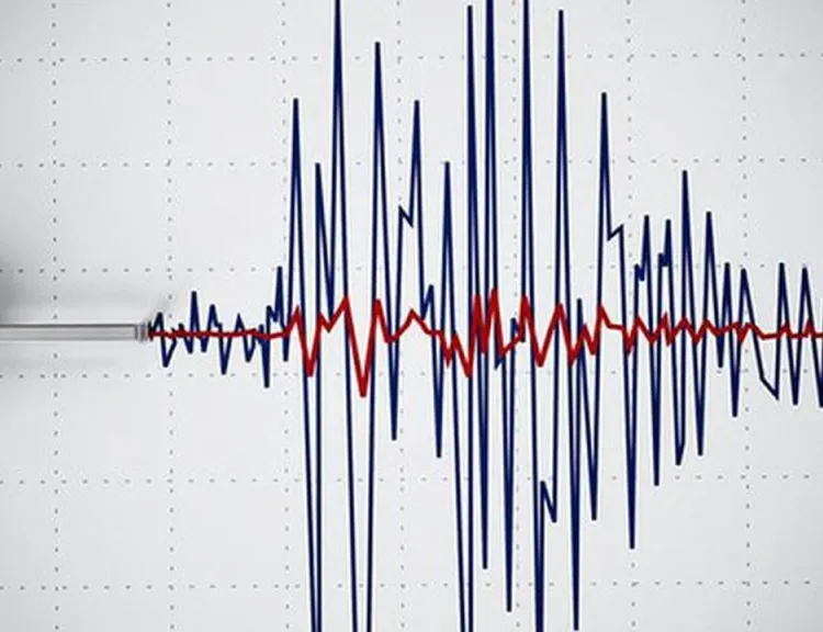 Sivas Gürün’de 4.0 büyüklüğündeki deprem kameralara yansıdı!