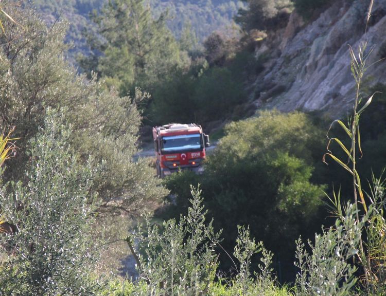 Antalya Serik'te orman yangını