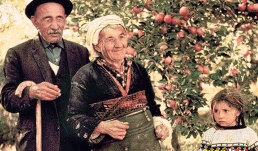Adını, 5 Ocak 1931 tarihinde Ahmet Kutsi Tecer tarafından düzenlenen “Sivas Âşıklar Bayramı”nda duyurmuştur. 1933 yılından sonra gezginci âşıklar gibi yurdun birçok yerinde çalıp söylemeye başlamıştır. İlk şiiri, Cumhuriyetin 10. yıl dönümünde Atatürk için söylediği destan olmuştur.