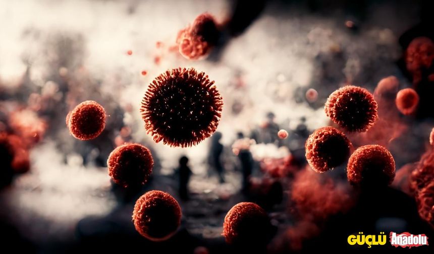 Hindistan’da Nipah virüsü alarmı