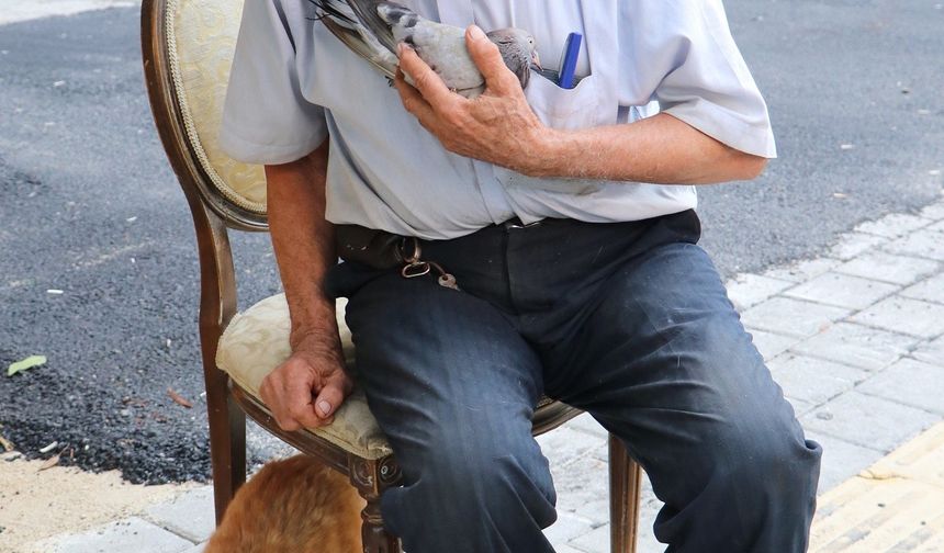 Adana’ya yaşayan 78 yaşındaki Hamza Avlar, 1960’lı yıllarda 18 sene boyunca sigortasız olarak kentte faaliyet gösteren yerel bir gazetede çalıştı. Bu sürede yaptığı birikimle Seyhan ilçesine bağlı Küçükdikili Mahallesi’nde bir arsa satın aldı ve içerisine eşi Sabahat ile birlikte oturacağı ev yaptırdı. Ancak arsayı alırken parayı aracı bir kişiye veren Avlar, daha sonra aracanın Kıbrıs’a kaçması nedeniyle tapuyu bir türlü üstüne alamadı.