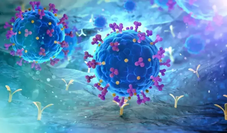 Yeni COVID varyantı "Cicada" Avrupa’da yayılıyor