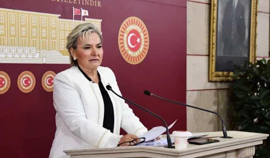 İstanbul Milletvekili Nimet Özdemir, İYİ Parti'den istifa etti