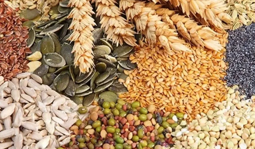 Dr. Yunus Amasyalı: Kalp sağlığı için lifli beslenme şart