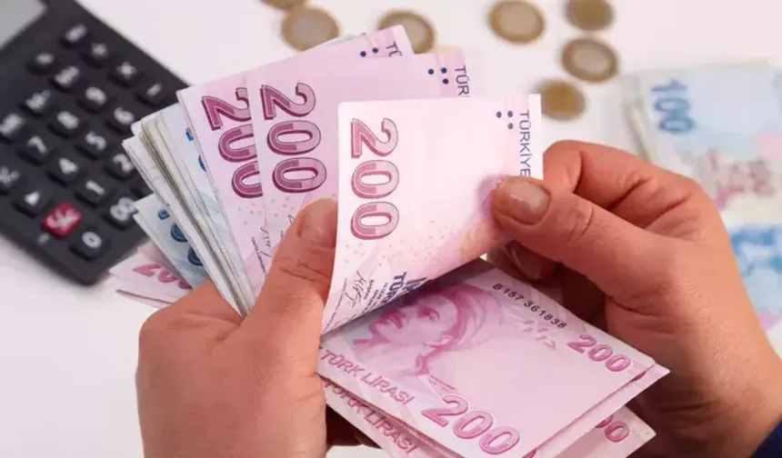 Temmuz ayı doğum yardımları hesaplara yatırıldı